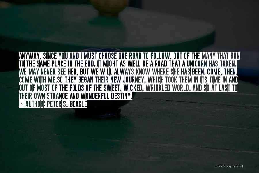 Road And Journey Quotes By Peter S. Beagle