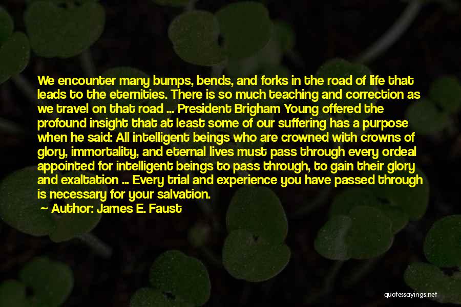 Road Bumps Quotes By James E. Faust