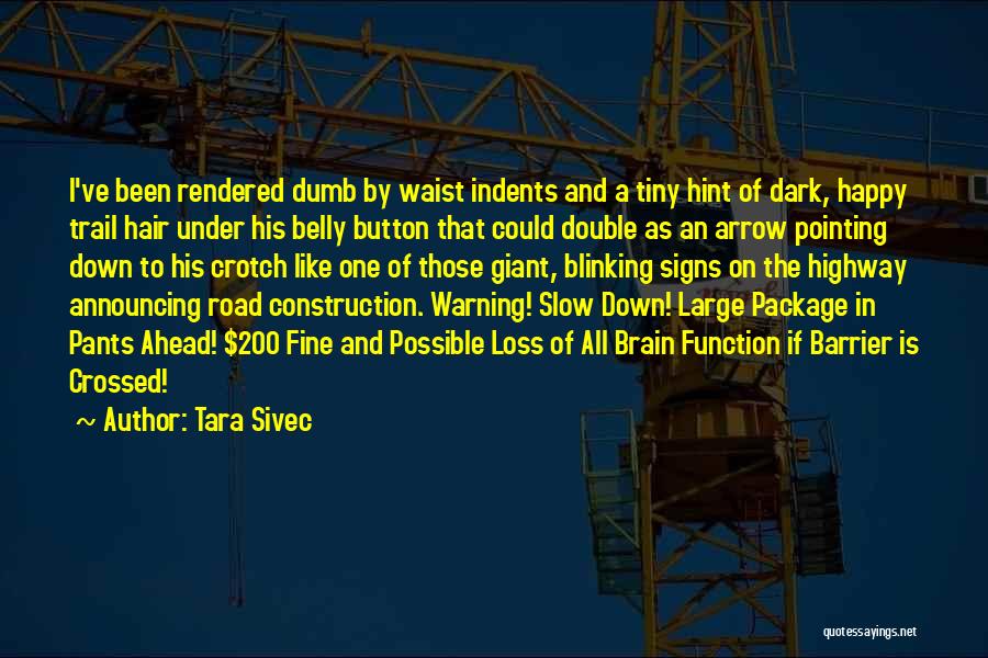 Road Construction Quotes By Tara Sivec