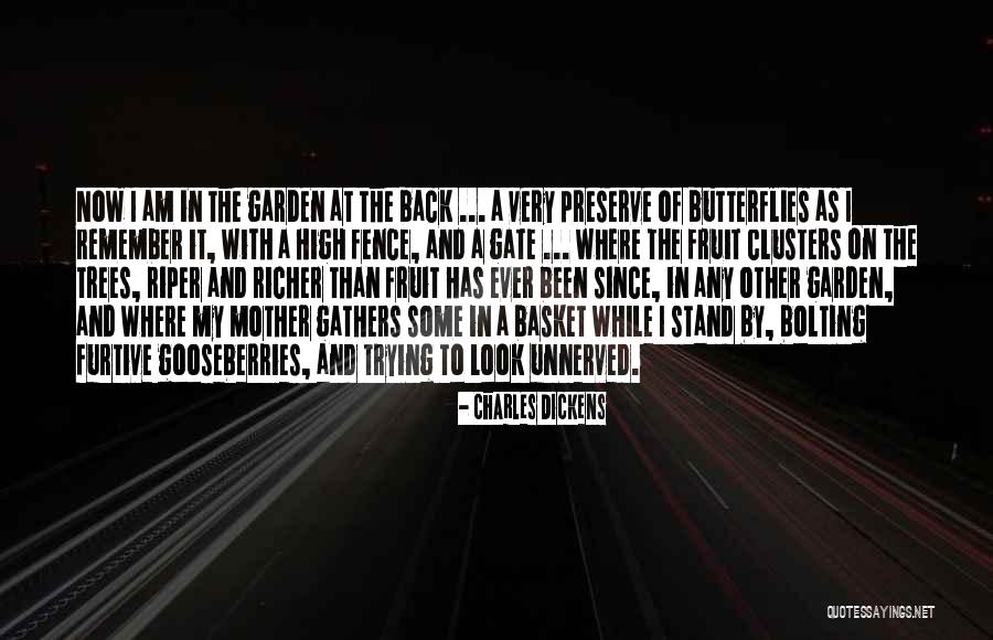 Road Proverbs Quotes By Charles Dickens Road Proverbs Quotes By Charles Dickens