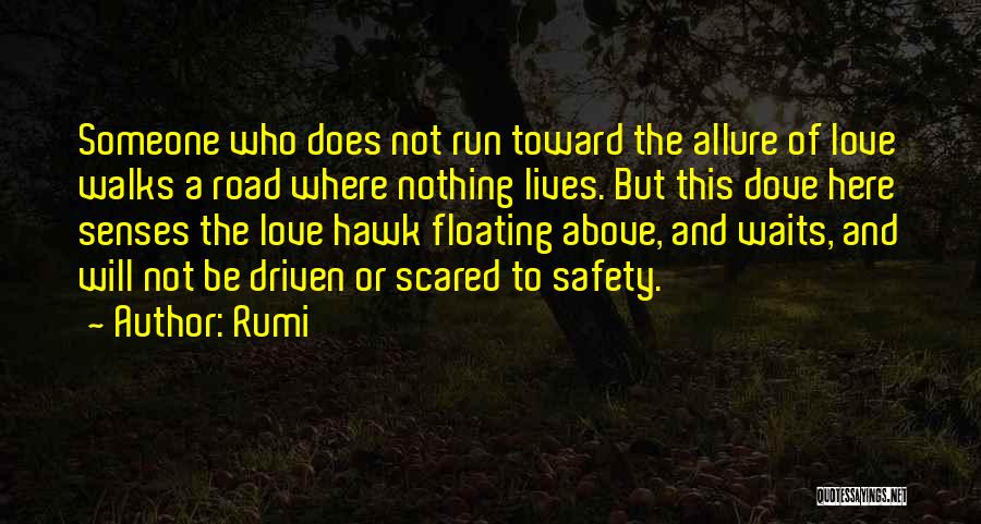 Road Safety Quotes By Rumi