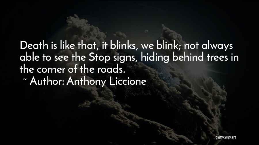 Road Signs Quotes By Anthony Liccione