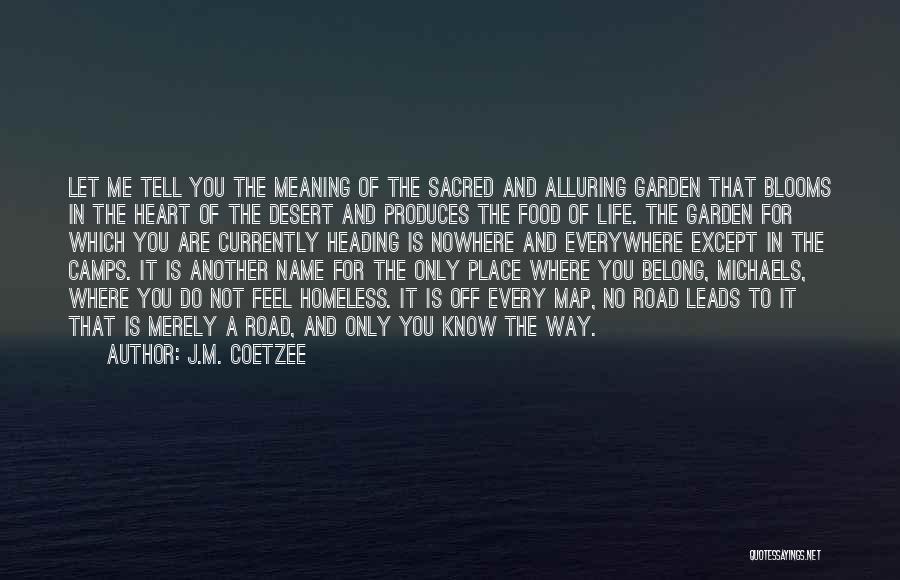 Road To Nowhere Quotes By J.M. Coetzee