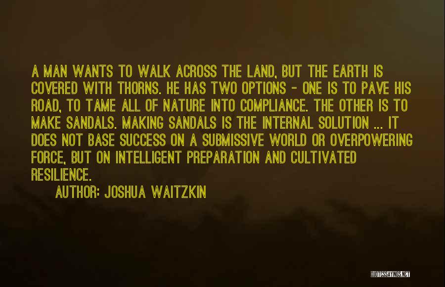 Road To Success Quotes By Joshua Waitzkin
