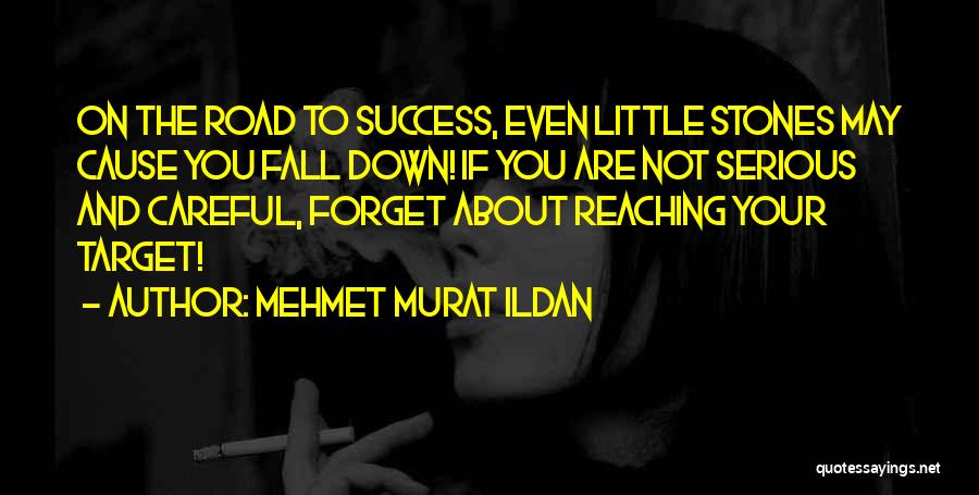 Road To Success Quotes By Mehmet Murat Ildan