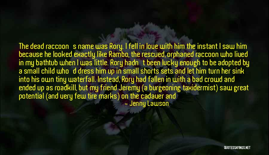 Roadkill Quotes By Jenny Lawson Roadkill Quotes By Jenny Lawson