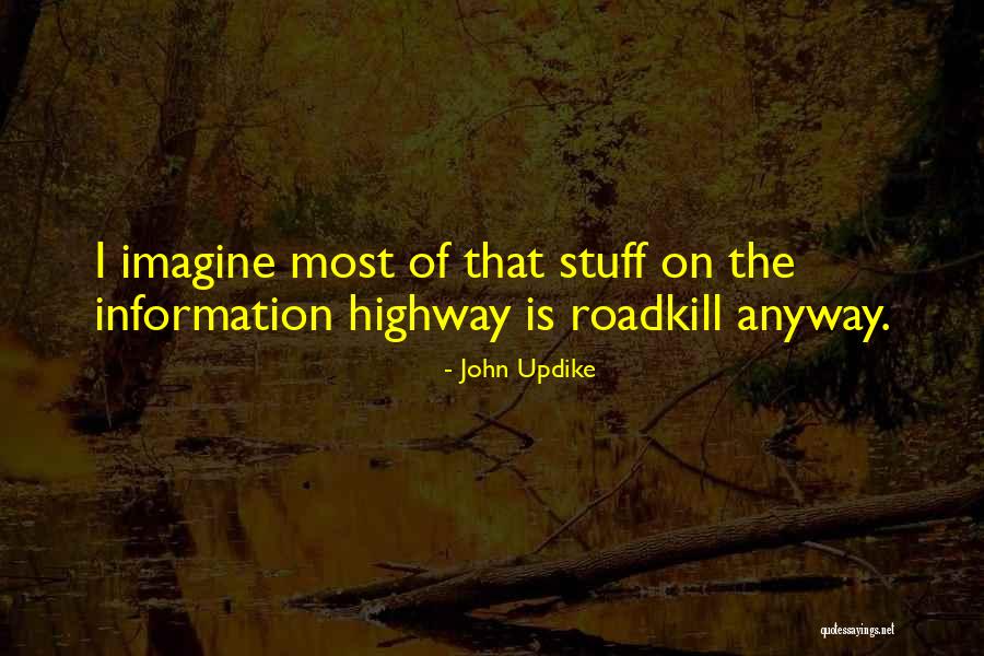 Roadkill Quotes By John Updike