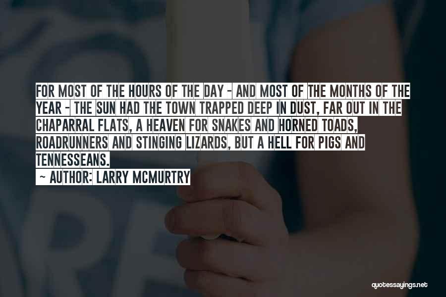 Roadrunners Quotes By Larry McMurtry