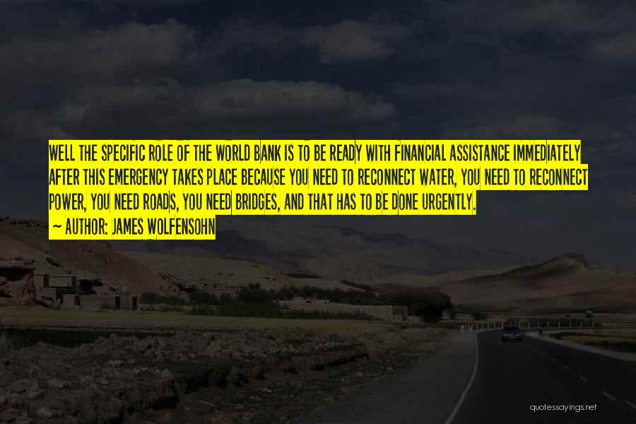 Roads And Bridges Quotes By James Wolfensohn
