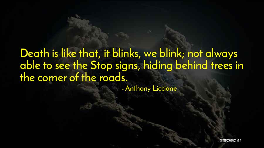 Roads In Life Quotes By Anthony Liccione Roads In Life Quotes By Anthony Liccione