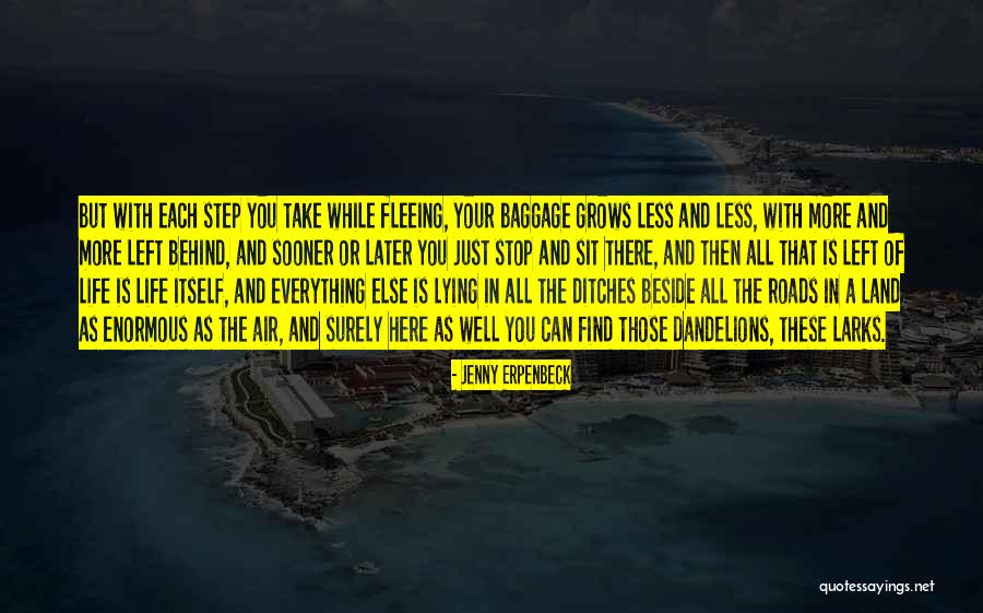 Roads In Life Quotes By Jenny Erpenbeck Roads In Life Quotes By Jenny Erpenbeck