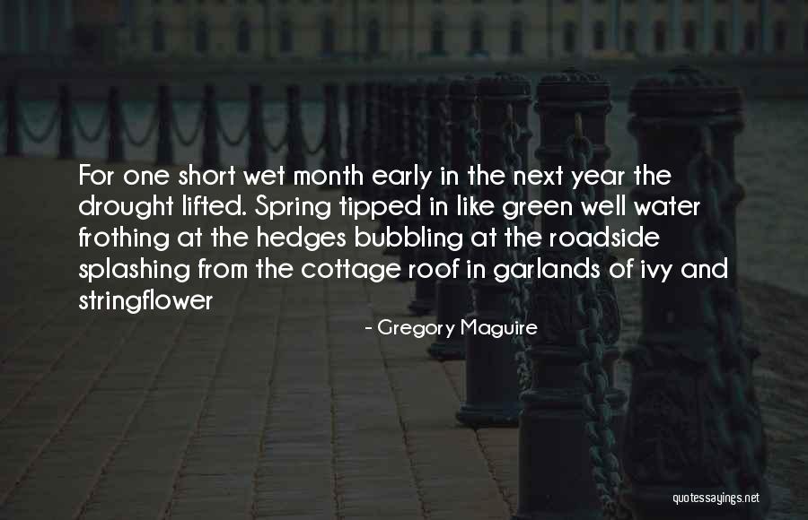 Roadside Quotes By Gregory Maguire