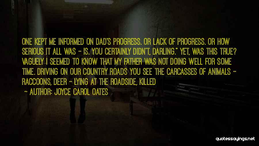 Roadside Quotes By Joyce Carol Oates