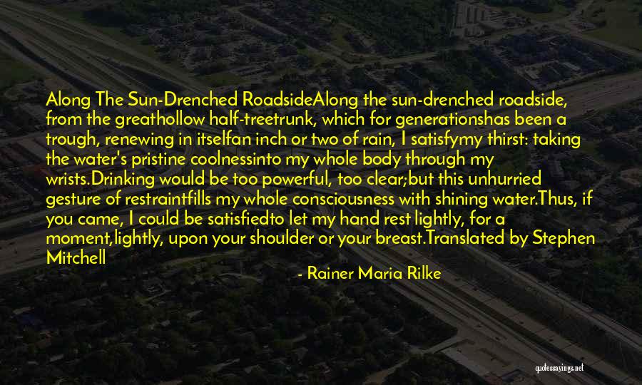 Roadside Quotes By Rainer Maria Rilke