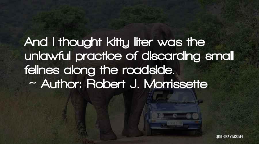 Roadside Quotes By Robert J. Morrissette