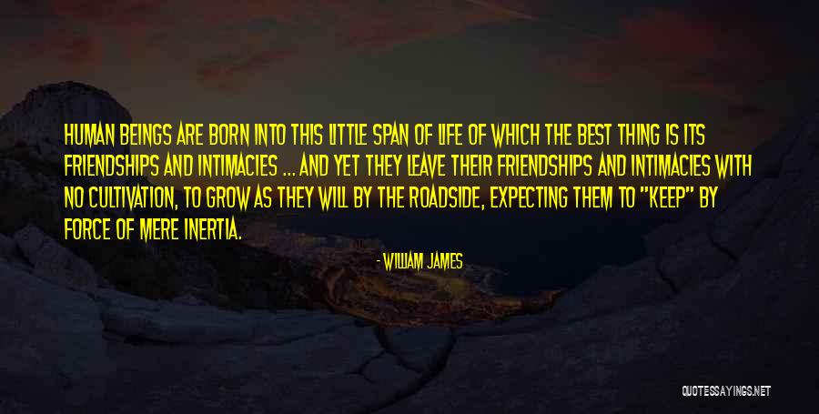 Roadside Quotes By William James