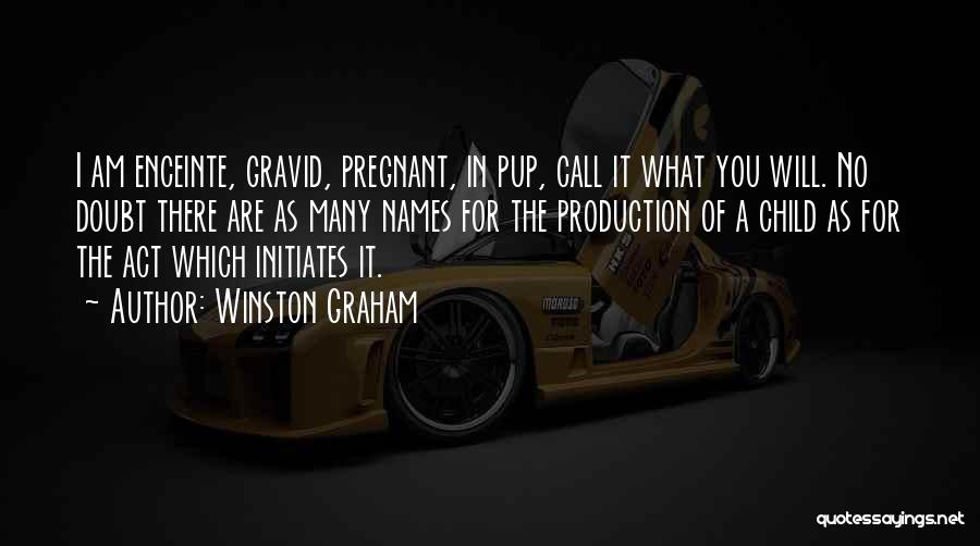 Roadster Tesla Quotes By Winston Graham