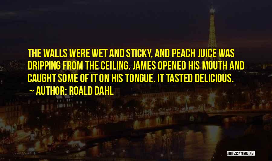 Roald Dahl Quotes 851861