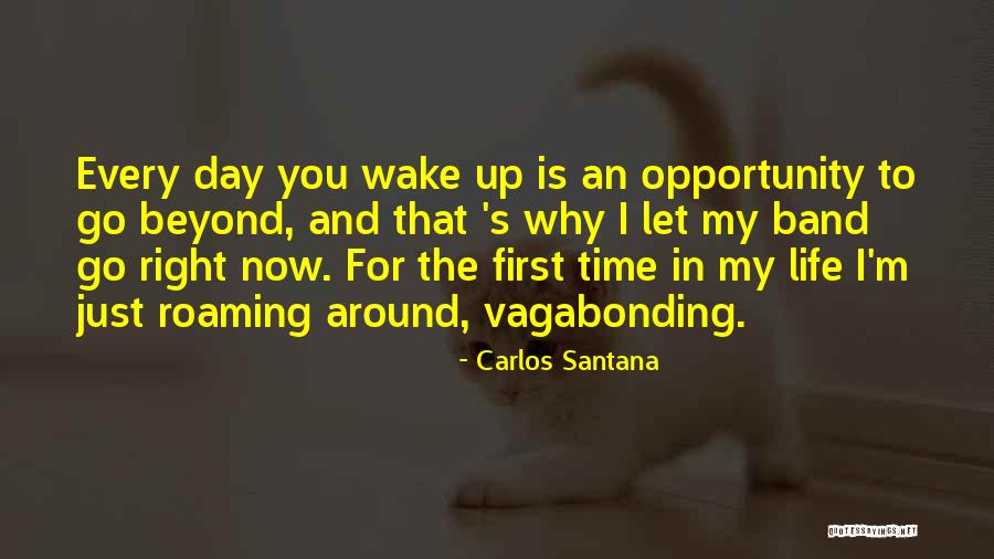 Roaming Around Quotes By Carlos Santana