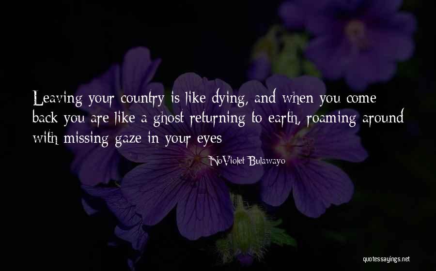 Roaming Around Quotes By NoViolet Bulawayo