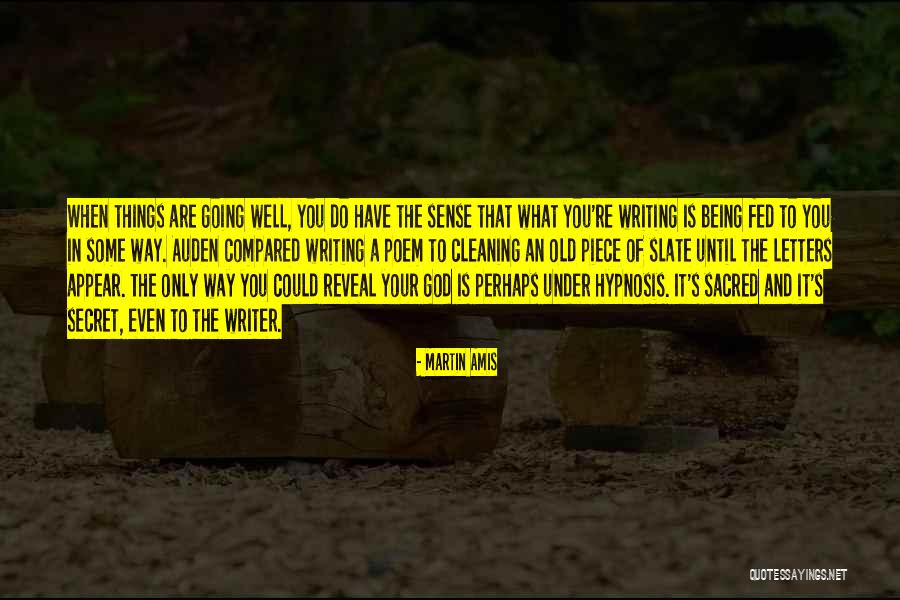 Roanne Selinger Quotes By Martin Amis Roanne Selinger Quotes By Martin Amis
