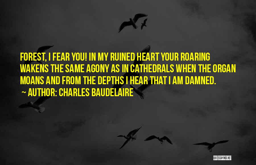 Roaring Quotes By Charles Baudelaire