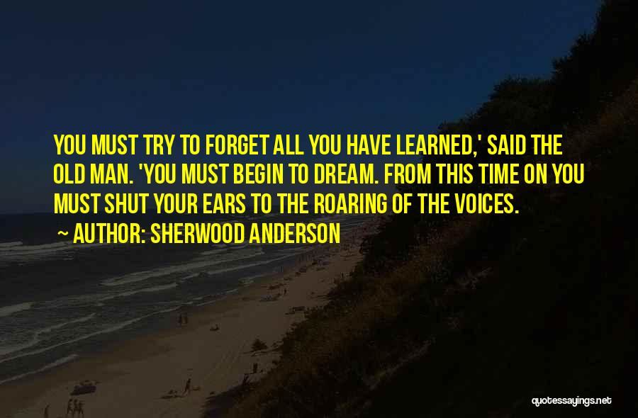 Roaring Quotes By Sherwood Anderson