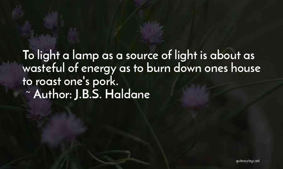 Roast Pork Quotes By J.B.S. Haldane