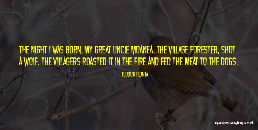 Roasted Quotes By Teodor Flonta