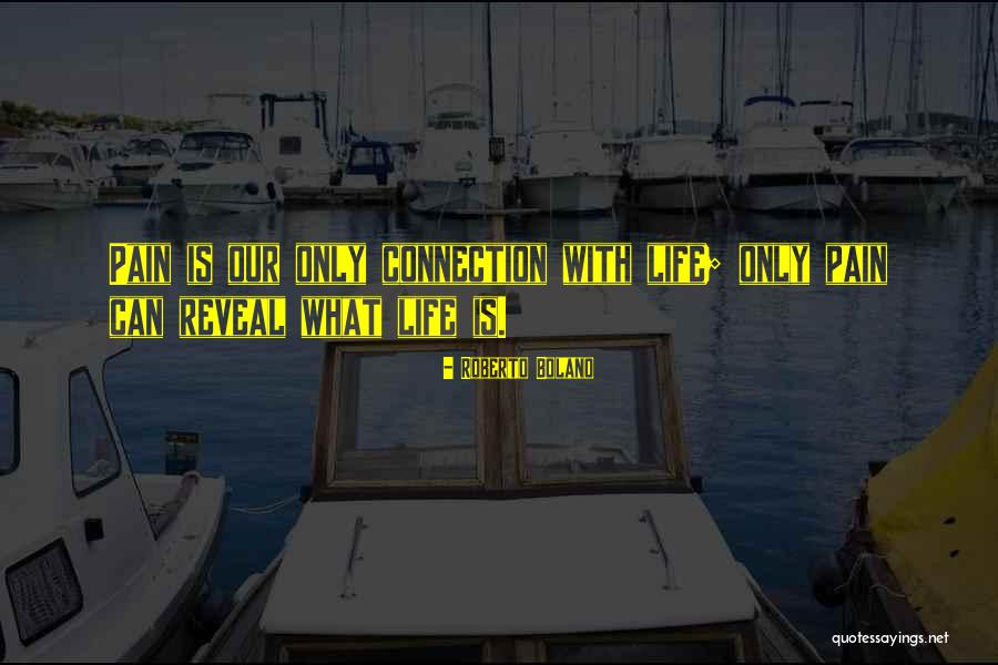 Roasters And Toasters Quotes By Roberto Bolano Roasters And Toasters Quotes By Roberto Bolano