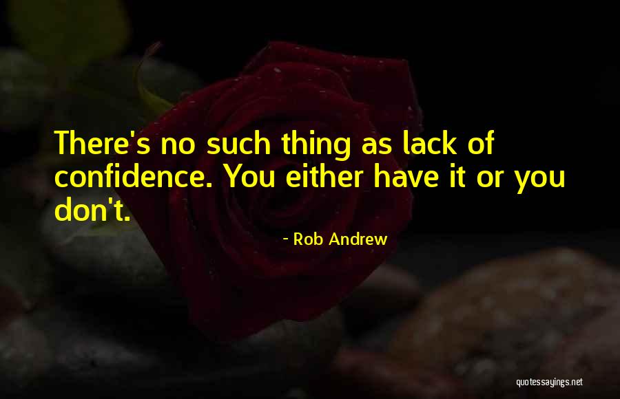 Rob Andrew Quotes 1301454