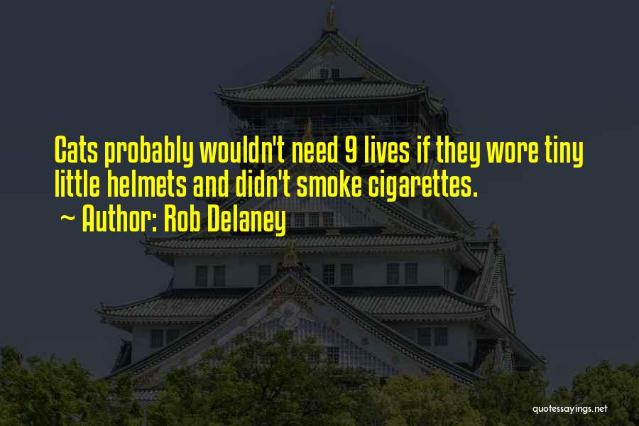 Rob Delaney Quotes 2270237