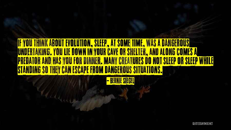 Rob Garrison Quotes By Bernie Siegel Rob Garrison Quotes By Bernie Siegel