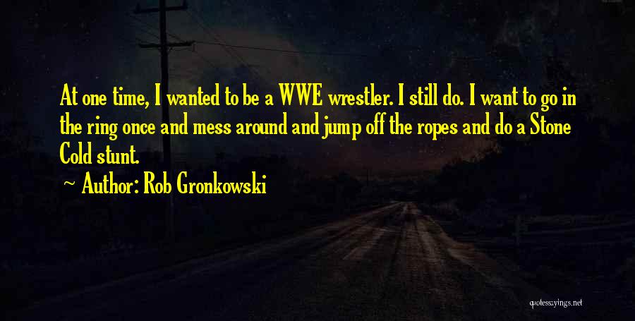 Rob Gronkowski Quotes 2206731