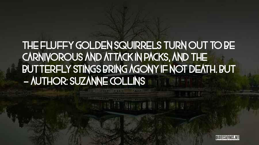 Rob Hill Sr Birthday Quotes By Suzanne Collins