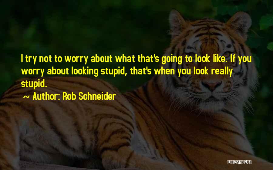Rob Schneider Quotes 1612539