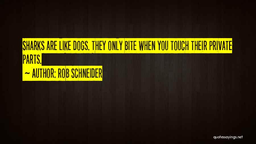 Rob Schneider Quotes 1980127