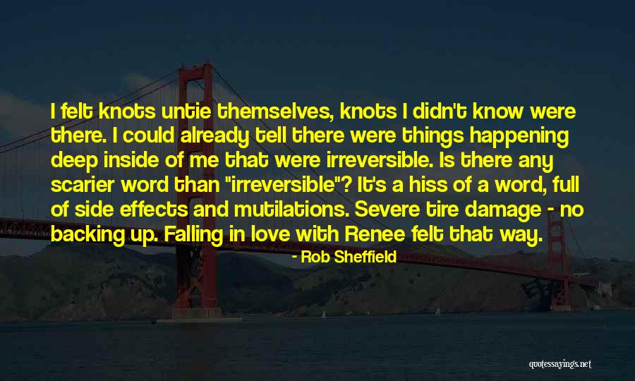 Rob Sheffield Quotes 1073843 Rob Sheffield Quotes 1073843