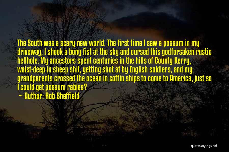 Rob Sheffield Quotes 763127