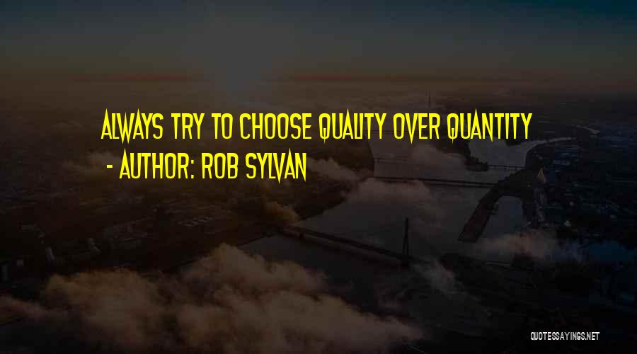 Rob Sylvan Quotes 539498