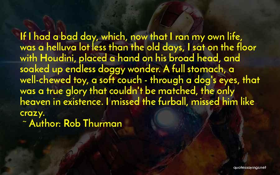Rob Thurman Quotes 141391