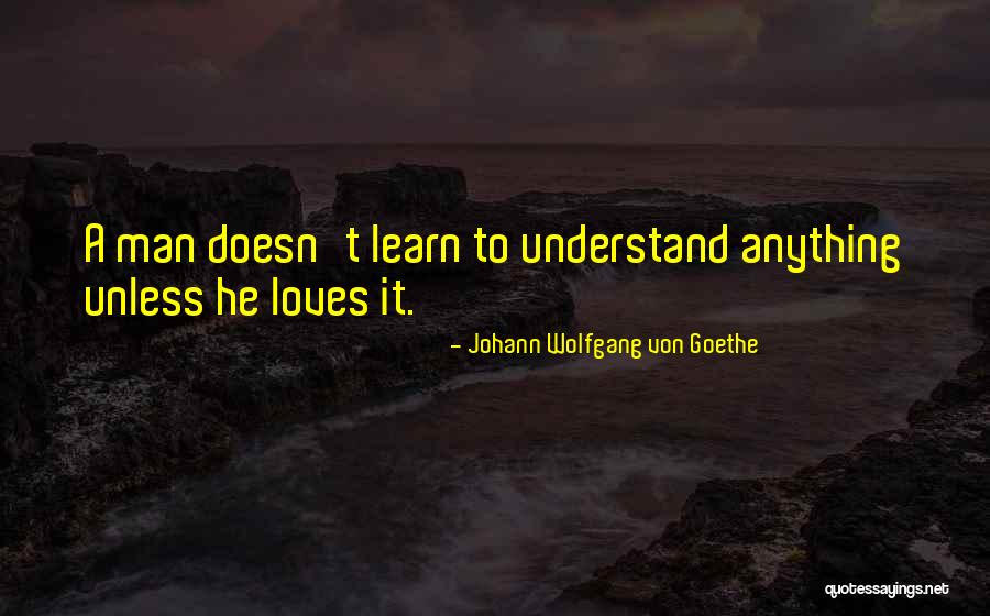 Robaires Los Angeles Quotes By Johann Wolfgang Von Goethe