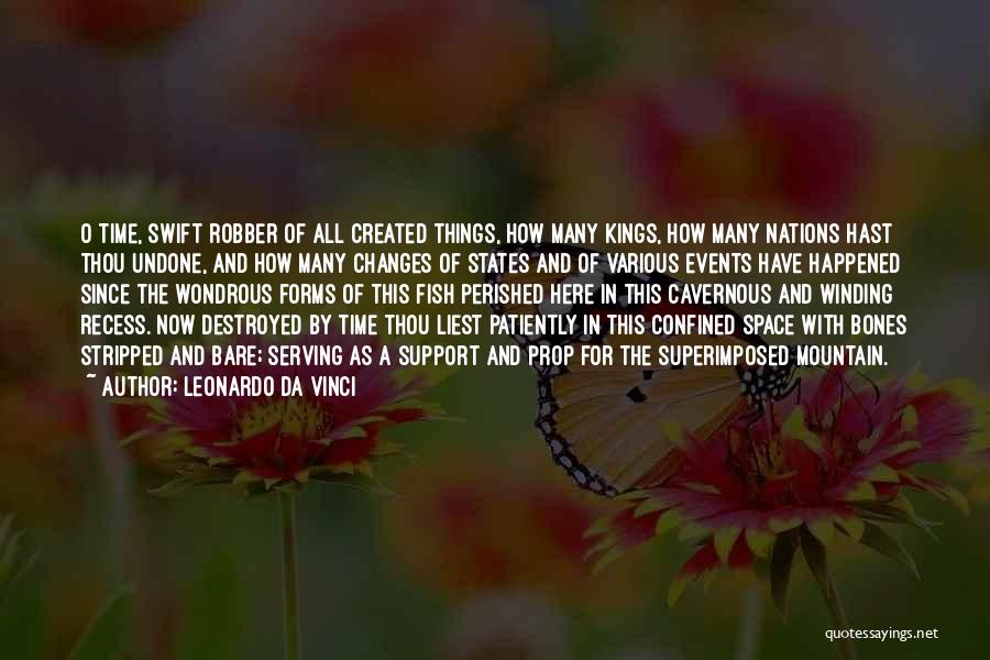 Robber Quotes By Leonardo Da Vinci