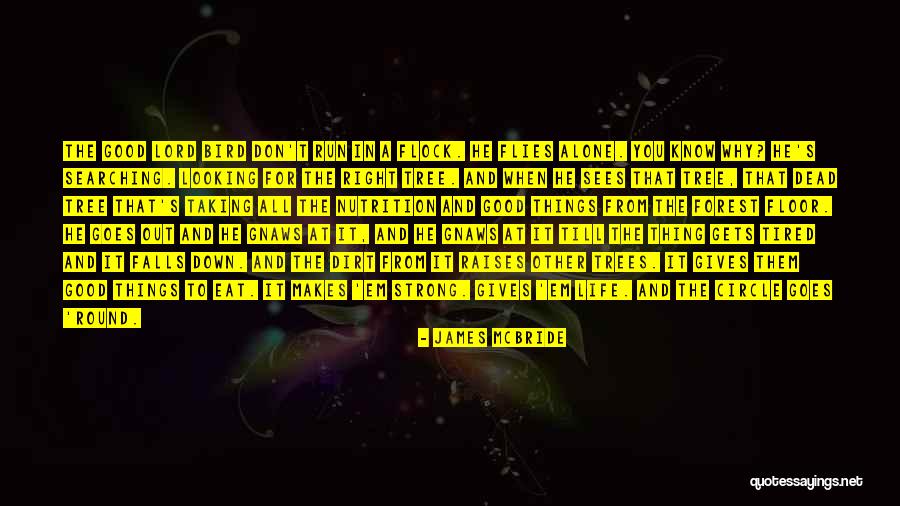 Robberechts Machines Quotes By James McBride Robberechts Machines Quotes By James McBride