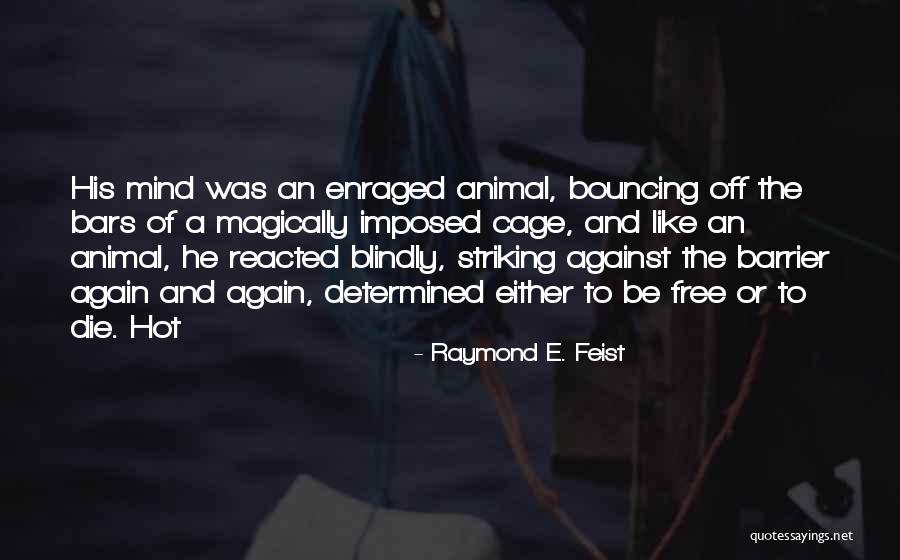 Robellini Quotes By Raymond E. Feist Robellini Quotes By Raymond E. Feist