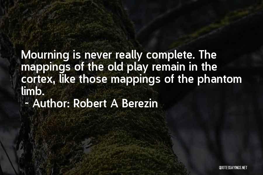 Robert A Berezin Quotes 981988