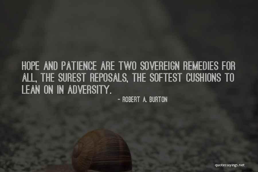 Robert A. Burton Quotes 2086161