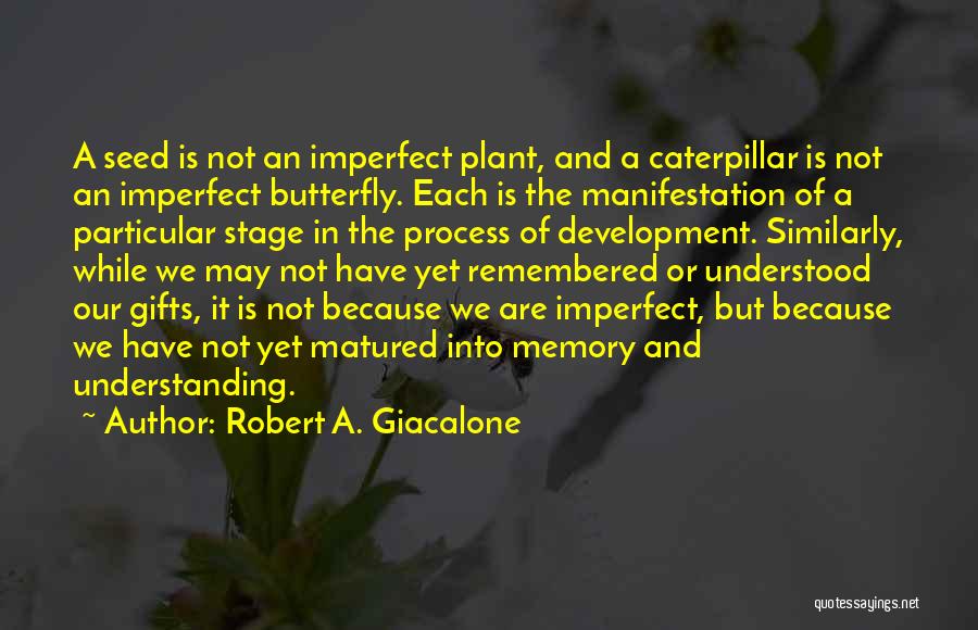 Robert A. Giacalone Quotes 2179039