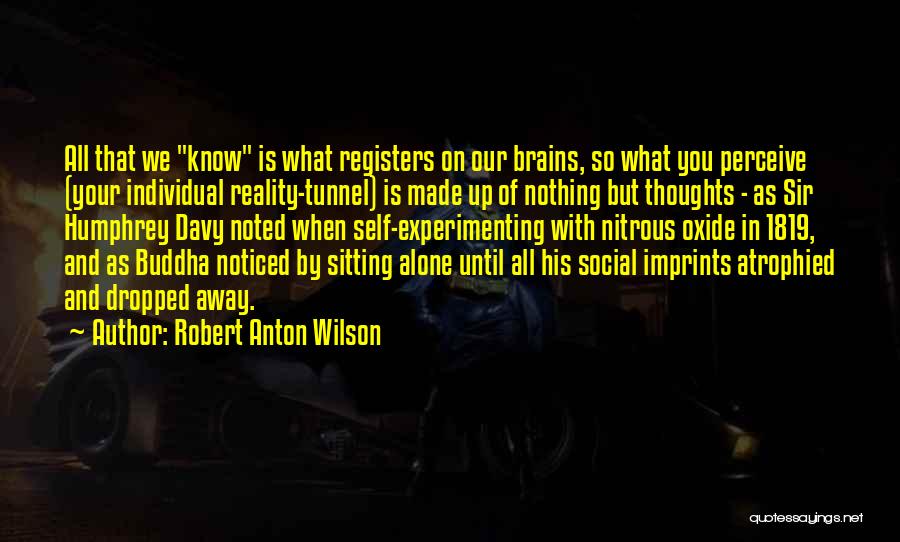 Robert A Humphrey Quotes By Robert Anton Wilson