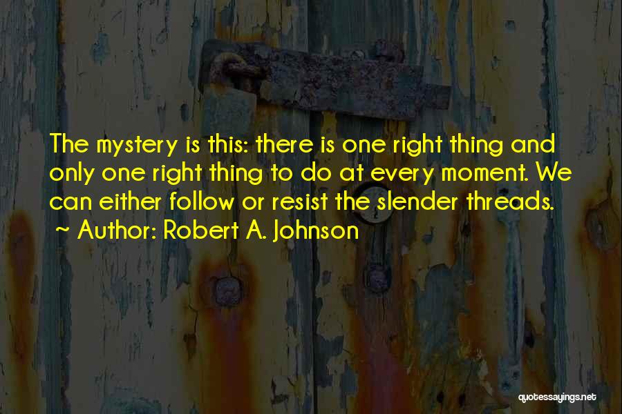 Robert A. Johnson Quotes 2058801